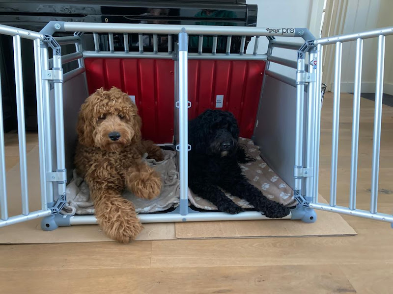 4Pets Autobench Pro 22  L